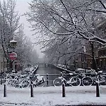 Hotel Singel 3*